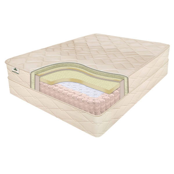 Allura Latex and Coil Mattress Cutaway