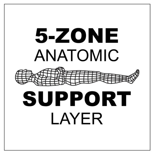 5-Zone Anatomic Support Layer