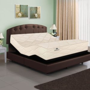 801 Latex Coil Mattress & Adjustable Base