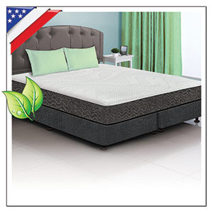 NATURAL LATEX SUPPORT BEDS