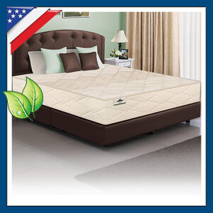 Natural & Organic Latex Beds